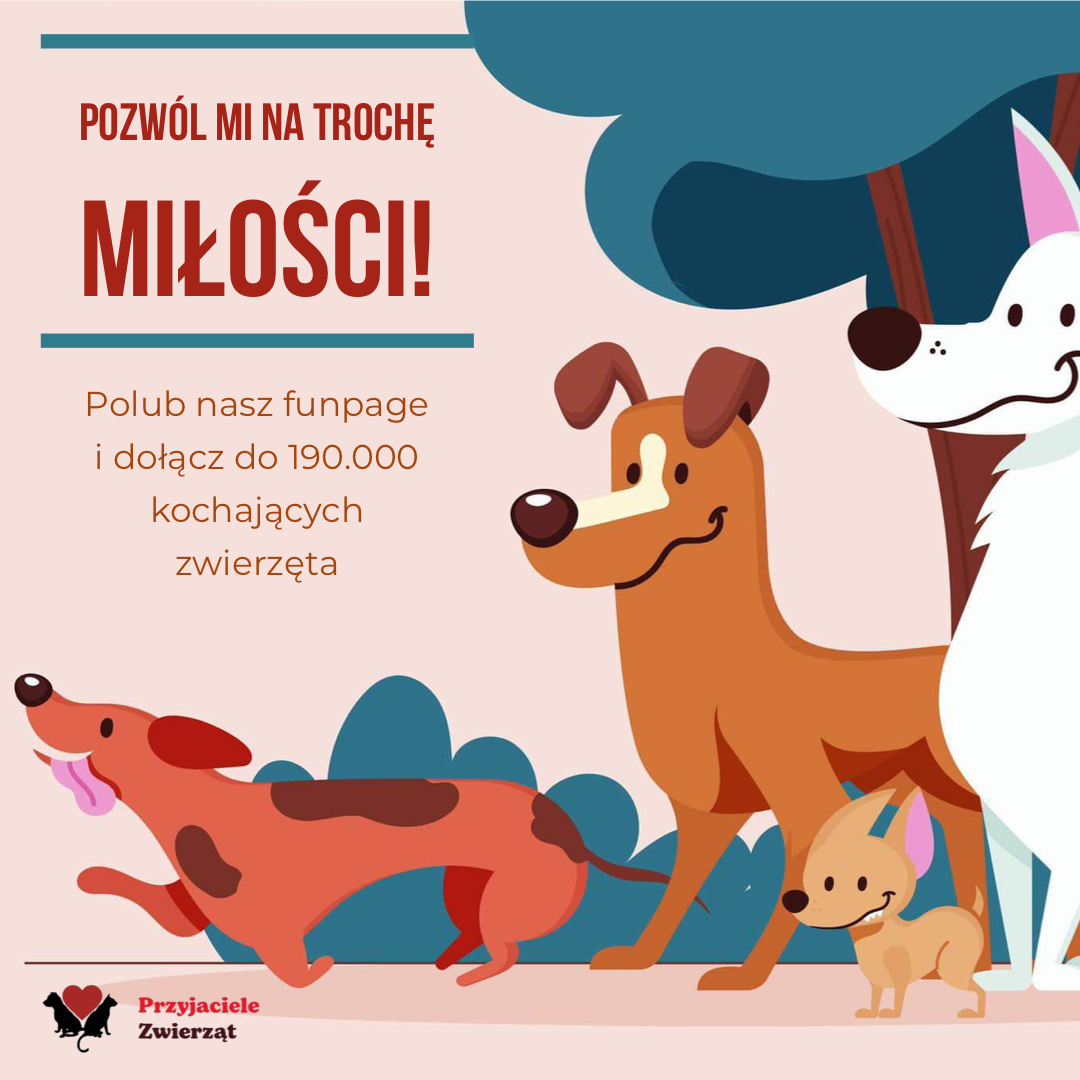 Przyjaciele Zwierzat