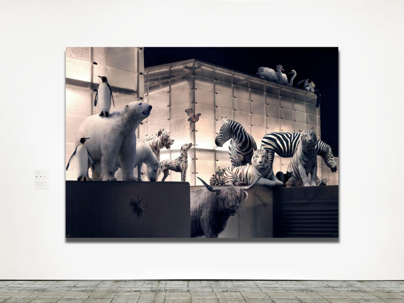 Art Design – collection
