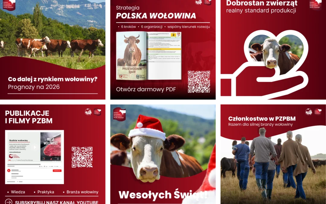 QMP – Social Media Management